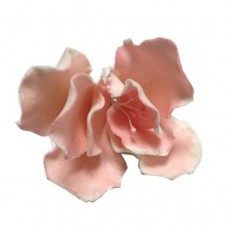 Цветы сахарные "Шиповник розовый" 6шт